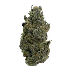 NORTHERN LIGHTS STRAIN UK