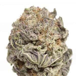 Black Gas Mask x Lavender Strain