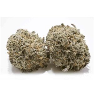 Blueberry Skunk Weed Strain