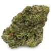 Buy Tropicana Cookies Strain