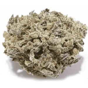 Gas Mask Marijuana Strain UK