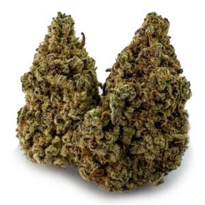 Gummy Bears Weed Strain UK