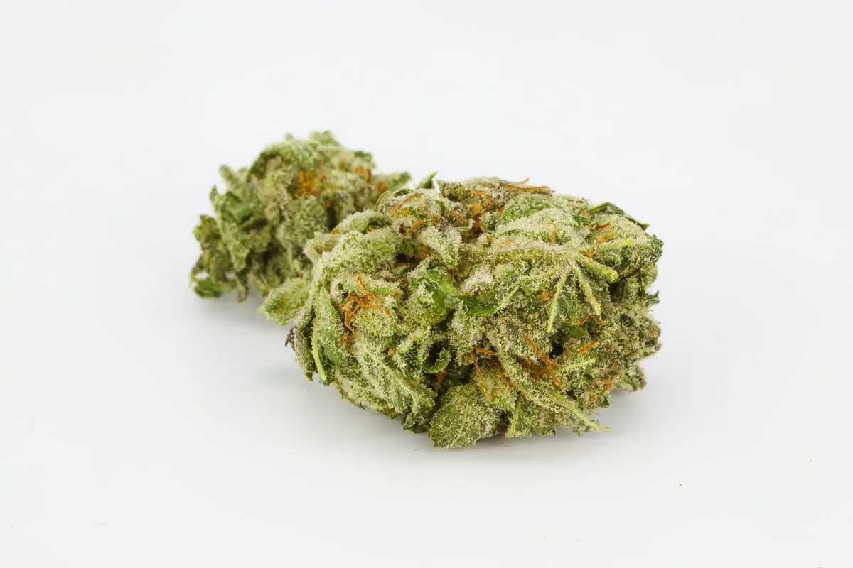 Hindu-Kush-Weed-Strain-UK.webp