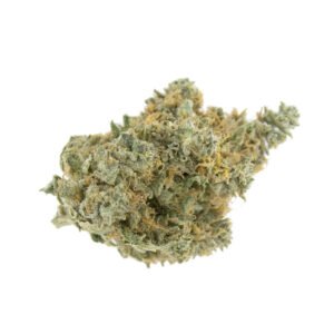 Master Kush Weed Strain UK