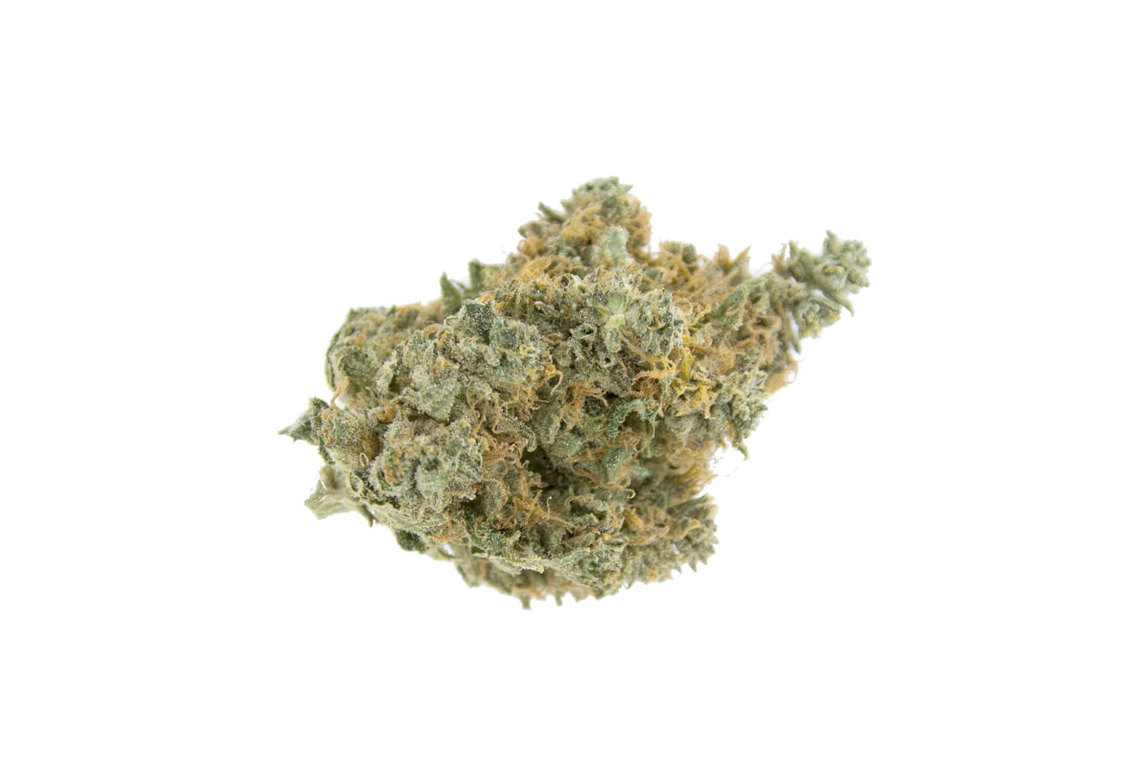 Master-Kush-Weed-Strain-UK-1.jpg