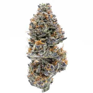 Northern Lights Weed Strain UK