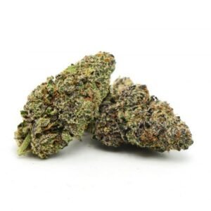 Purple Alien Kush Marijuana Strain UK