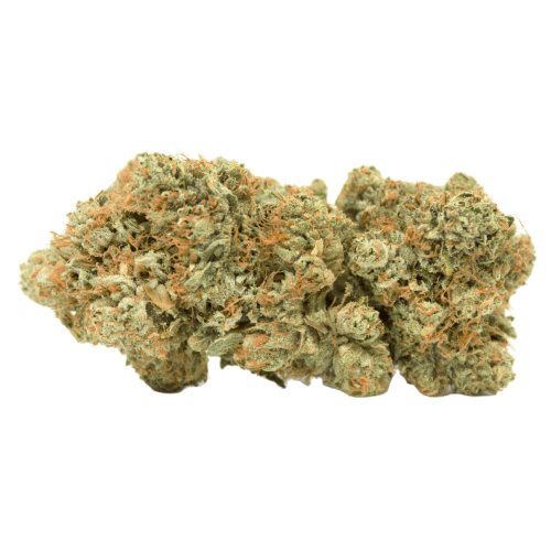 White-LSD-Marijuana-Strain.webp