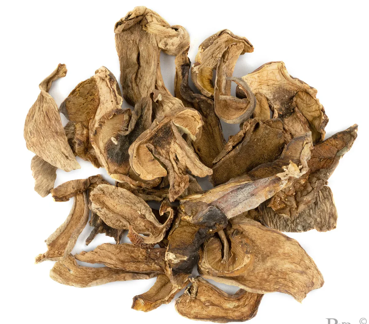 web_Dried-Porcini-Mushrooms-1-e1766716734991.webp